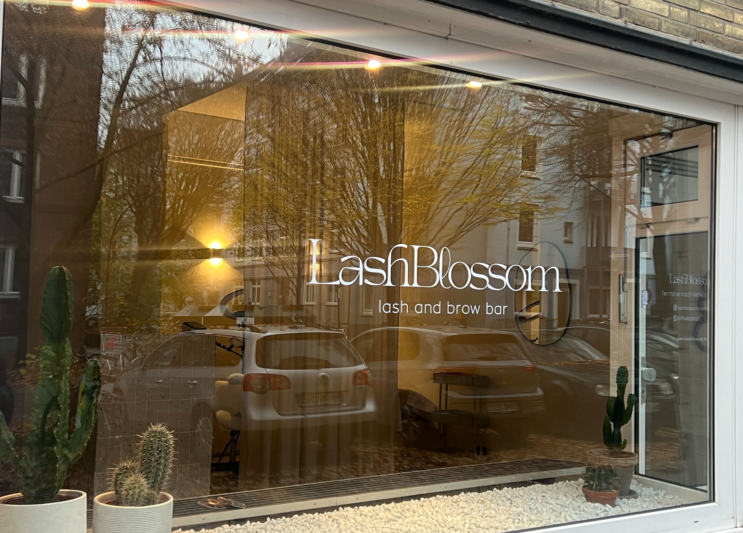 LashBlossom Schaufenster mit Kakteen in Hamburg, Hamburg, DE. Erleben Sie Schönheit und Wellness.