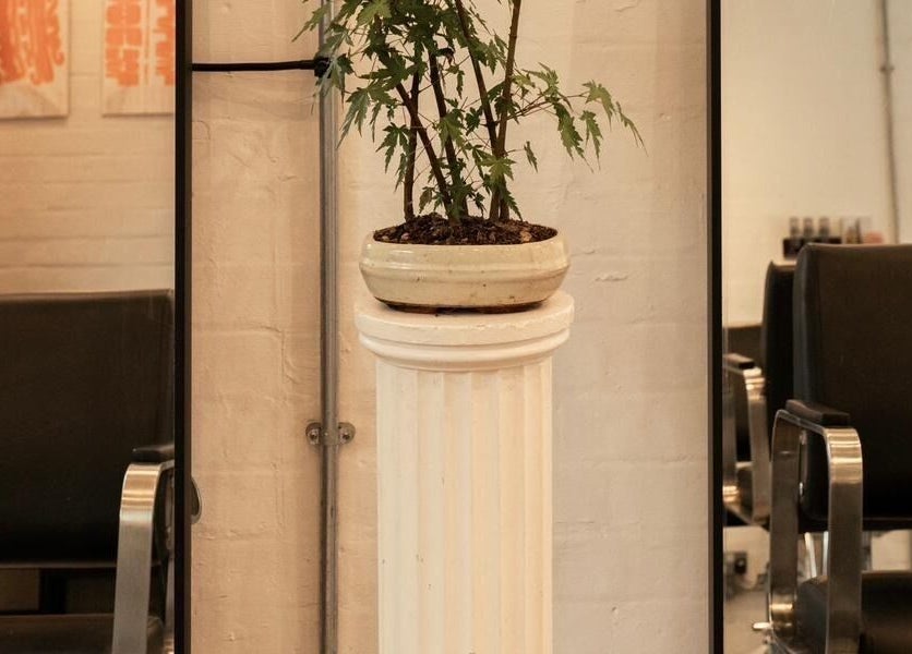 Modern salon with elegant decor at Studio Studios, London, England, GB. Features sleek chairs and a plant on a pillar.