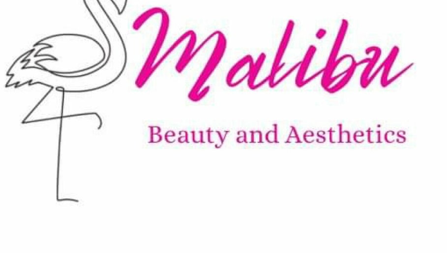 Ally Bally Beauty (Malibu) изображение 1