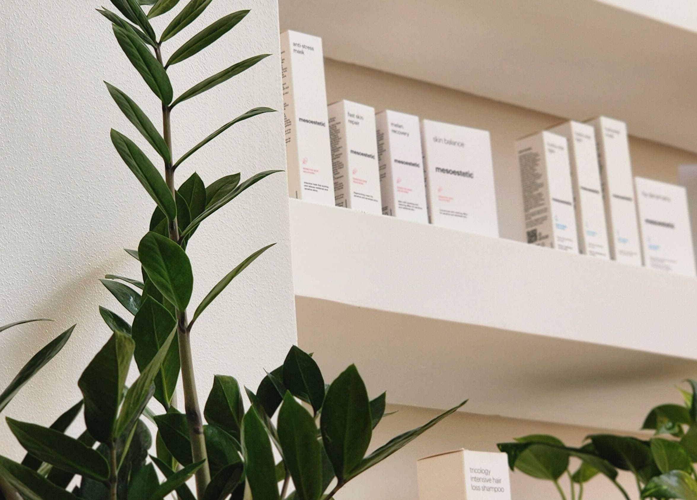 Sattva Aesthetics skincare shelves, lush plants add serenity in Kralendijk, Bonaire, BQ.