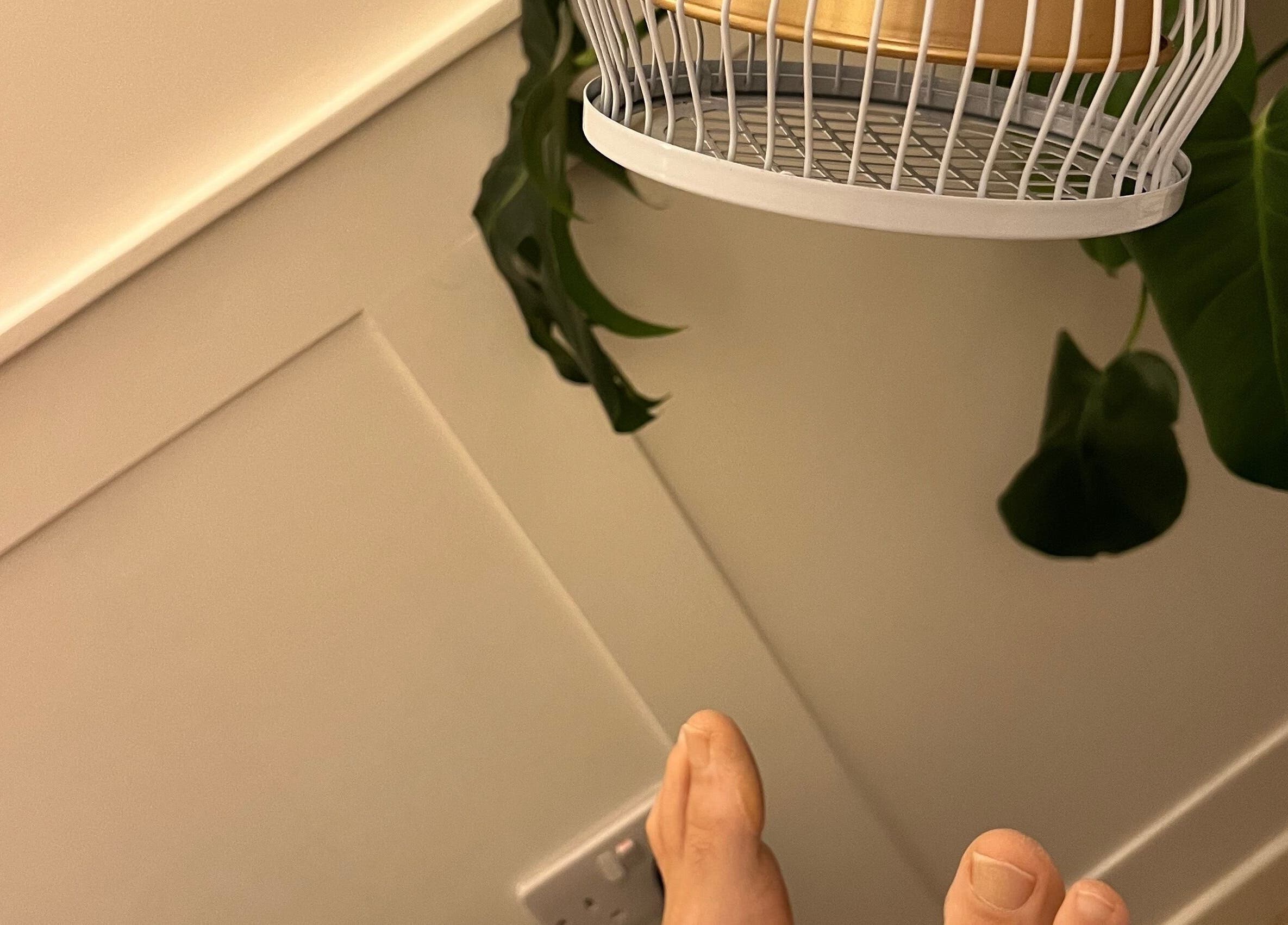 A tranquil corner at Acupuncture with Natalie, Lowestoft, England, GB, featuring a lush plant and soft lighting.