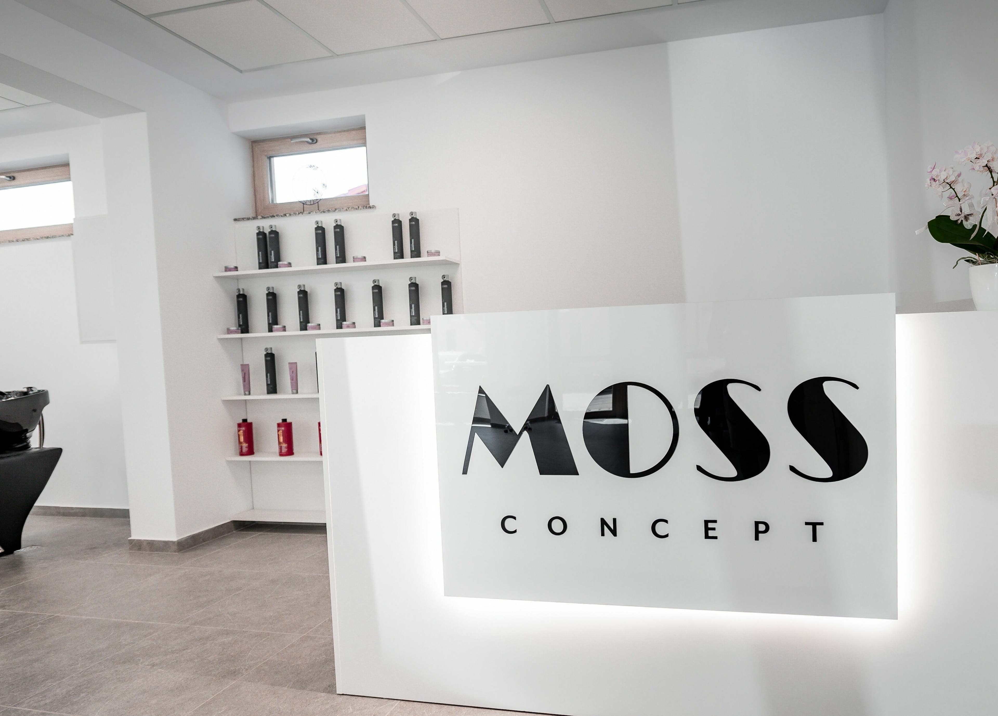 Design modern la Moss Concept, Dumbrăvița, Județul Timiș, RO, evidențiind recepția elegantă și produse profesionale.