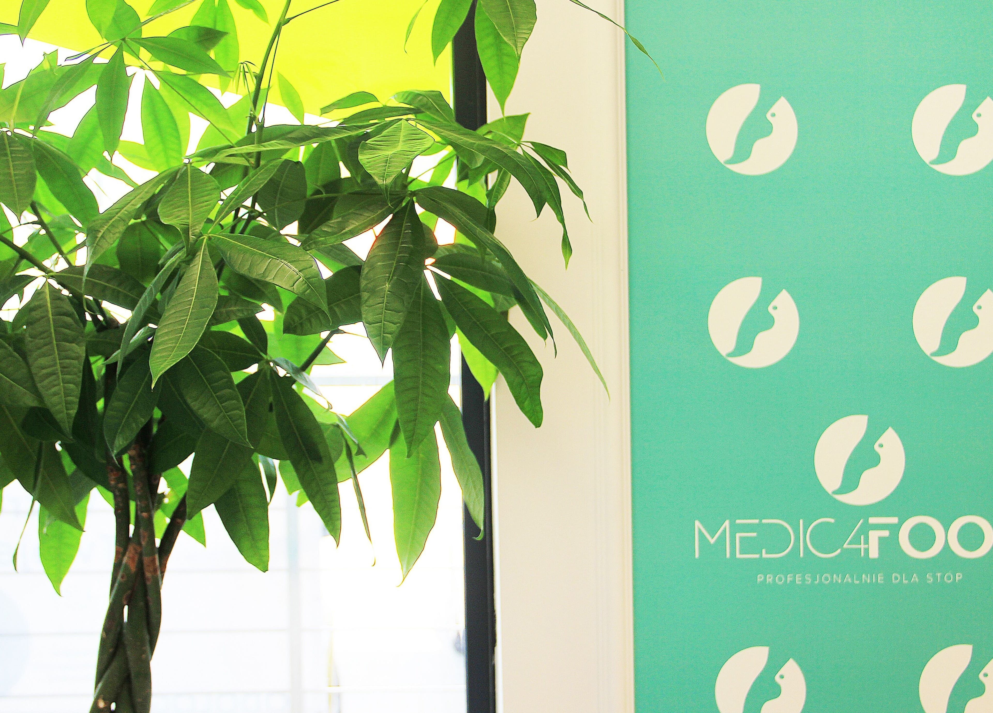 Zielona roślina obok logo Medic 4 Foot Profesjonalnie Dla Stóp w Łódź, Łódzkie, PL.
