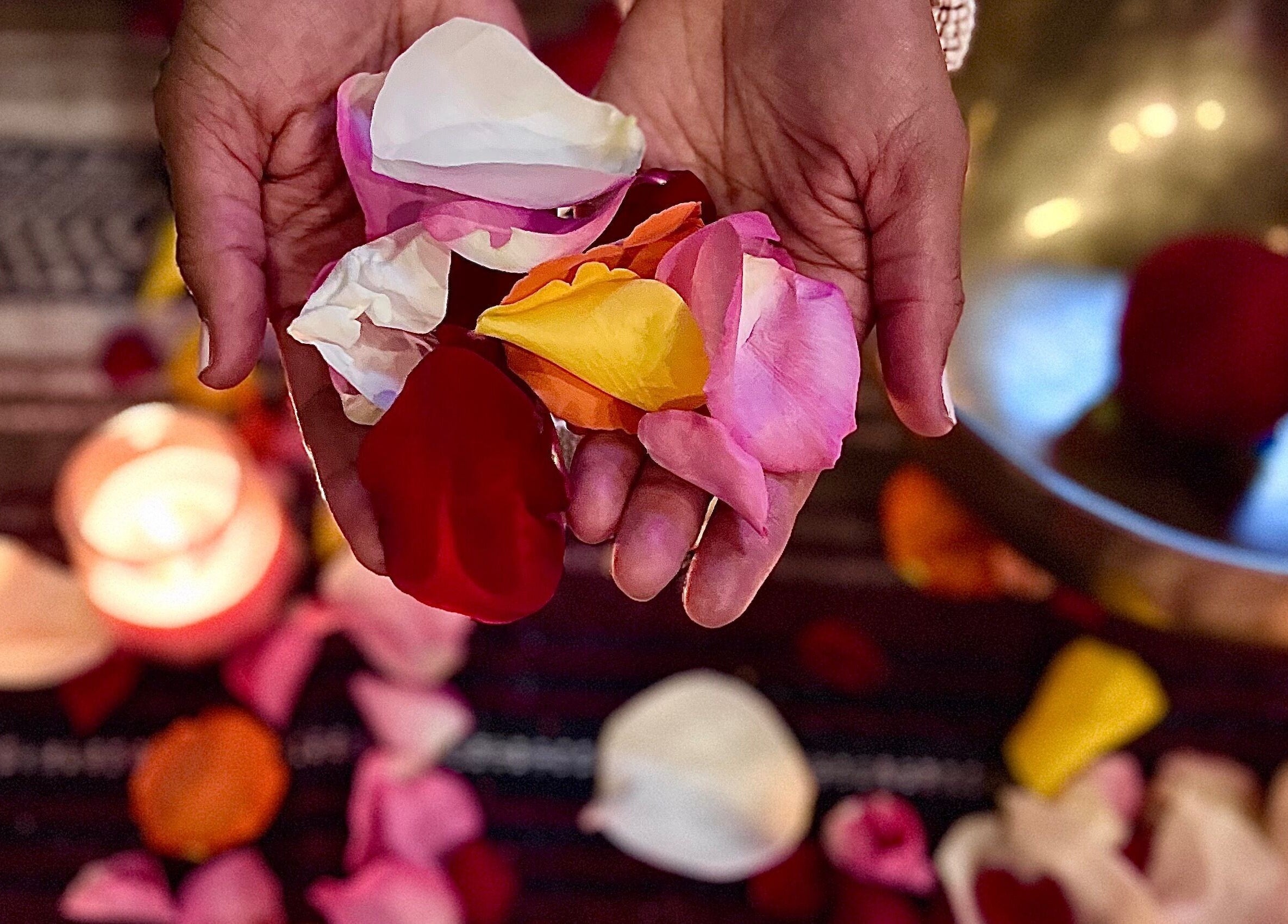 Hands holding rose petals at Latisa at Oasis at the Mill / Massage in Winston-Salem, North Carolina, US.
