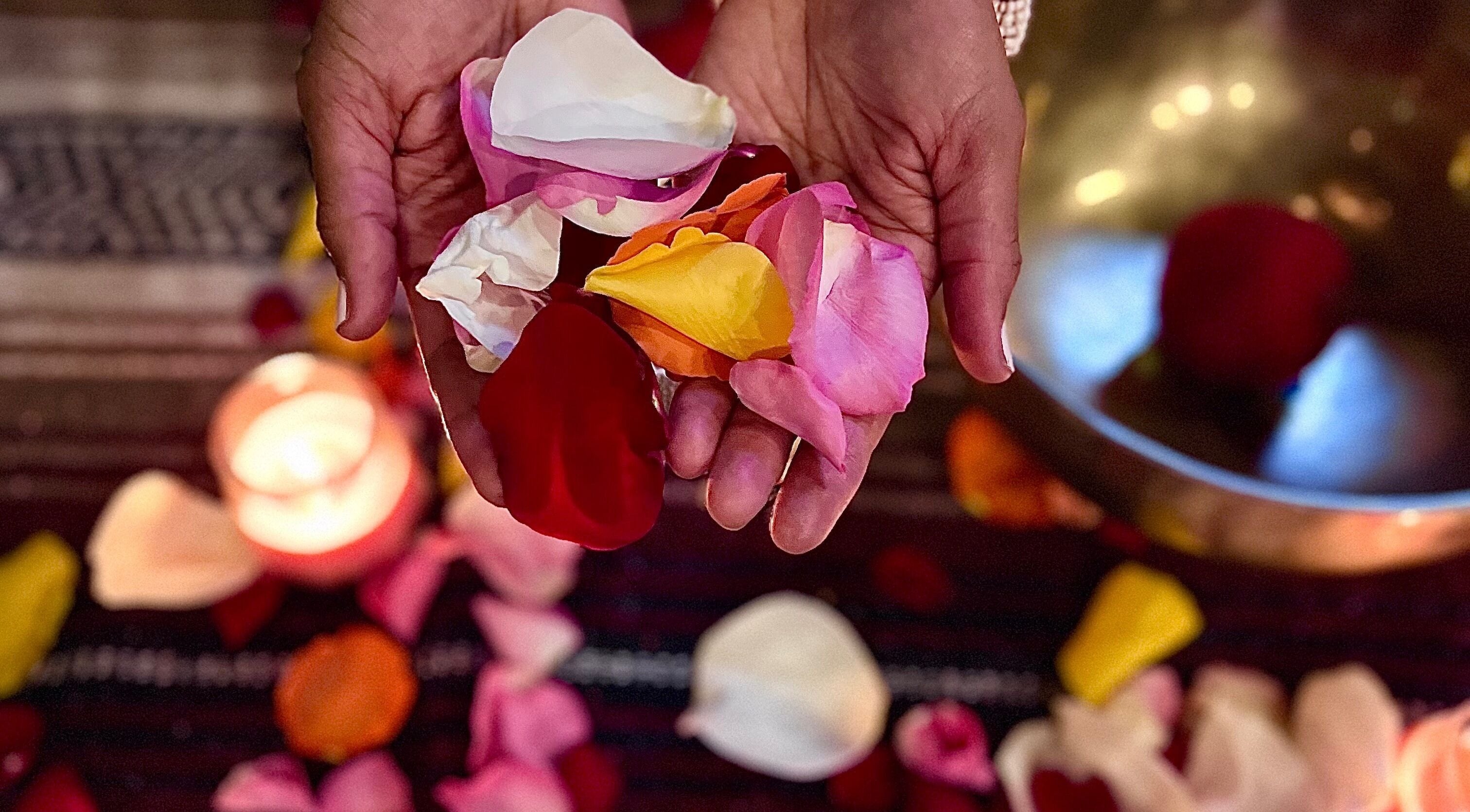 Hands holding rose petals at Latisa at Oasis at the Mill / Massage in Winston-Salem, North Carolina, US.