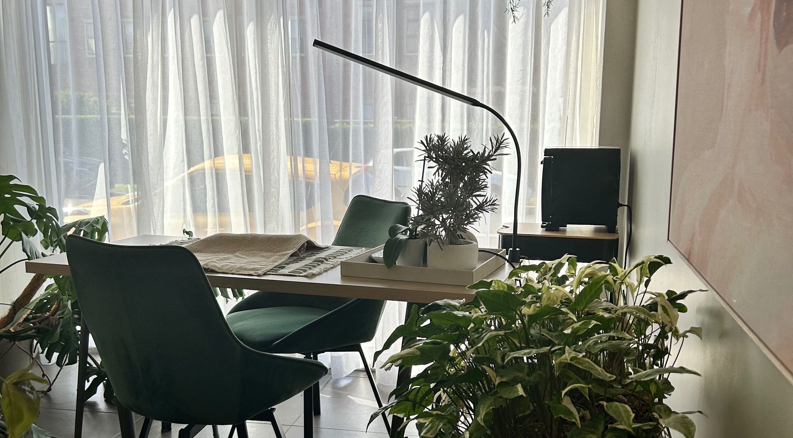 Calm workspace at Covet Beauty, Waratah, New South Wales, with green chairs and plants by the window.
