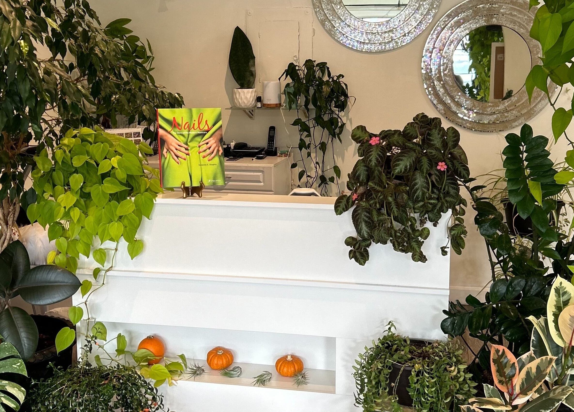 Reception area with vibrant plants at Nails Essential Spa, Cohasset, Massachusetts, US.