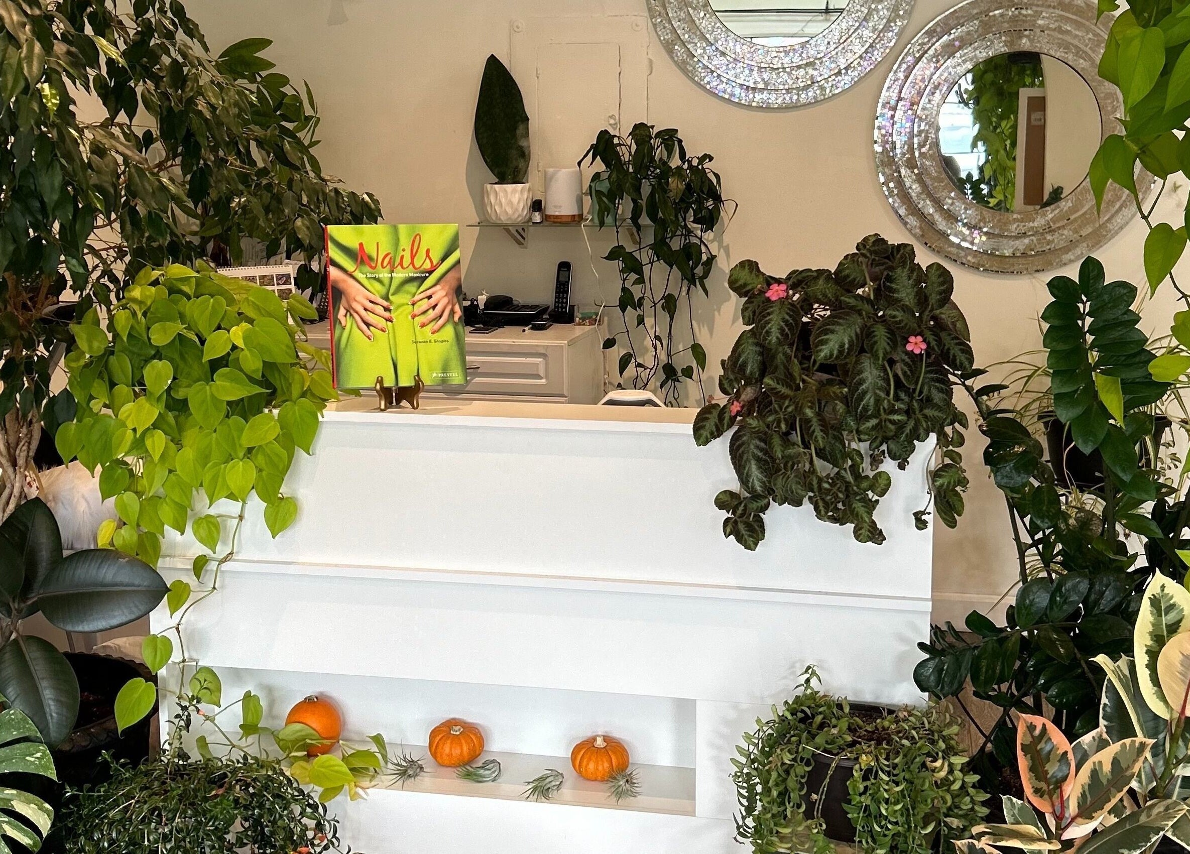 Reception area with vibrant plants at Nails Essential Spa, Cohasset, Massachusetts, US.