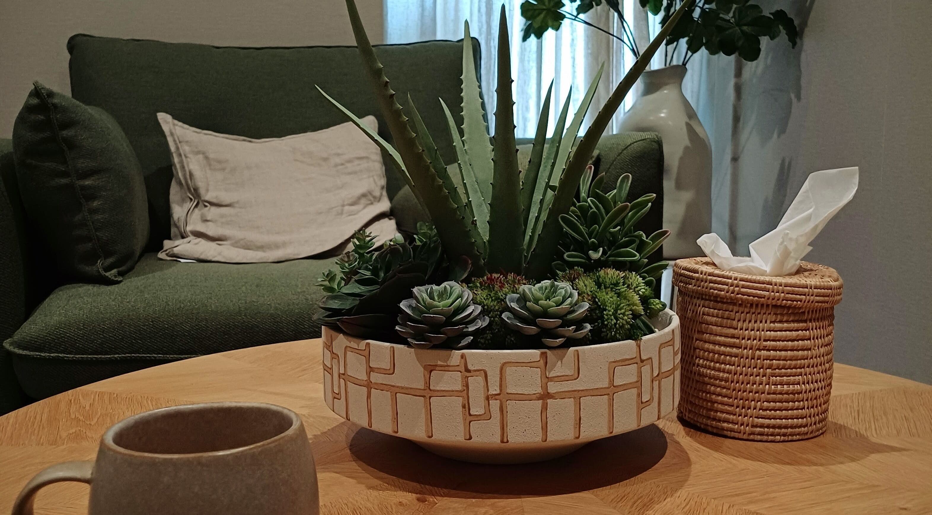 Cozy lounge with plants at Heal With Hollie, Wirral, England, GB showcasing relaxed ambiance.