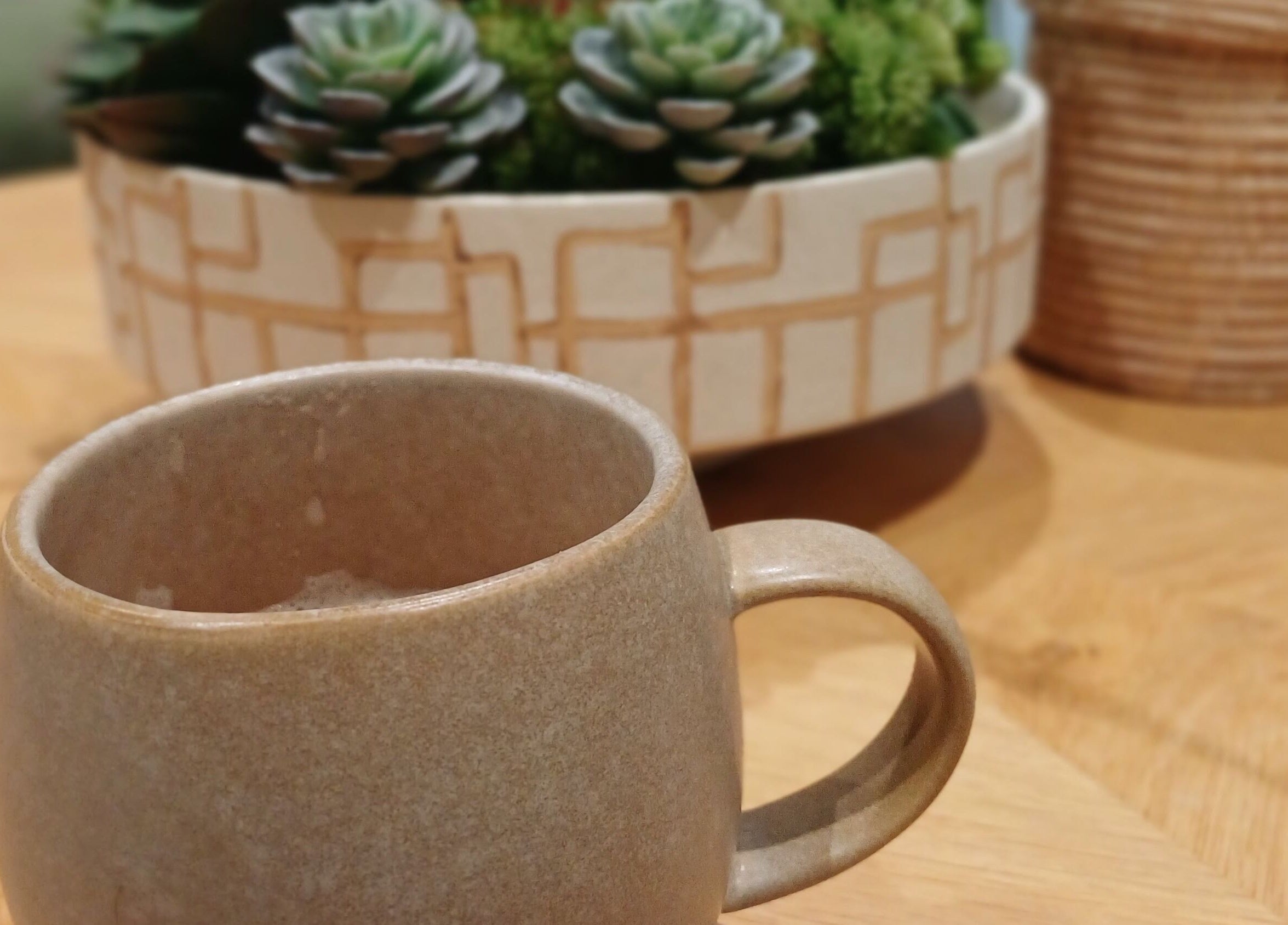 Cozy mug and succulent setup at Heal With Hollie, Wirral, England, GB, enhancing tranquility and comfort.