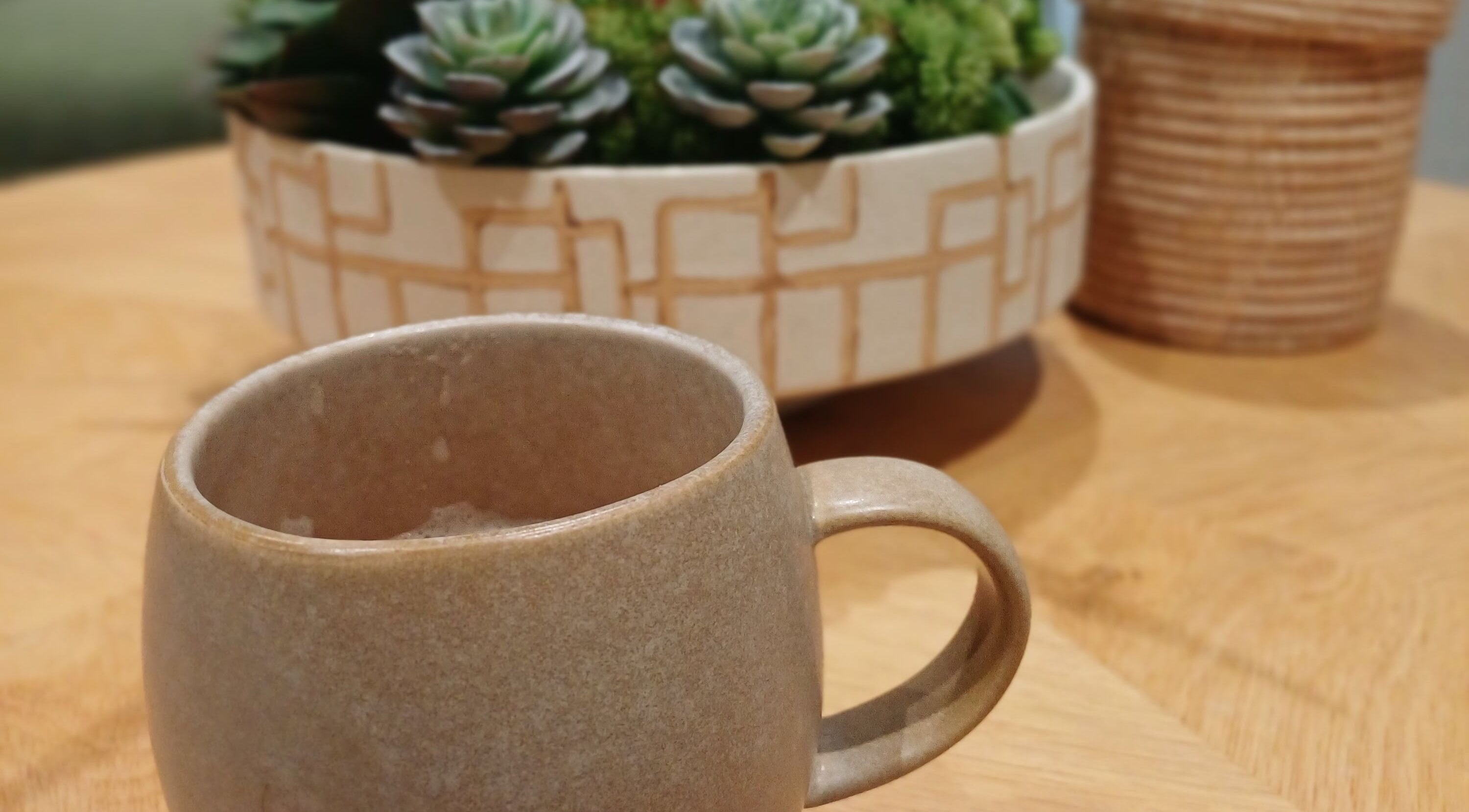 Cozy mug and succulent setup at Heal With Hollie, Wirral, England, GB, enhancing tranquility and comfort.